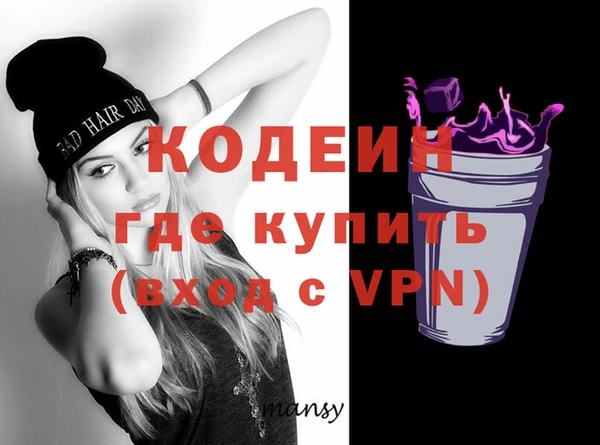 прущие грибы Новодвинск