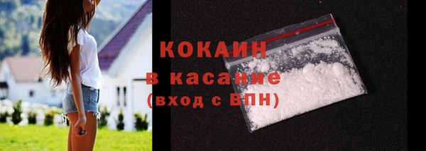 прущие грибы Новодвинск