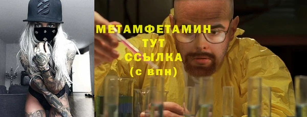 прущие грибы Новодвинск