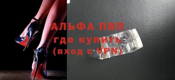 прущие грибы Новодвинск