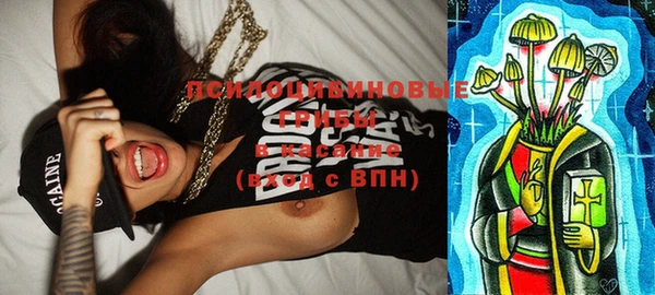 прущие грибы Новодвинск