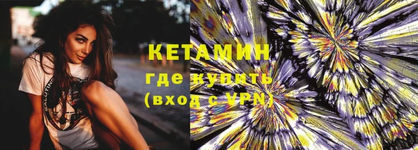 прущие грибы Новодвинск