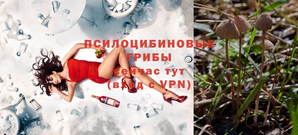 spice Новозыбков