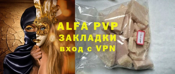 прущие грибы Новодвинск