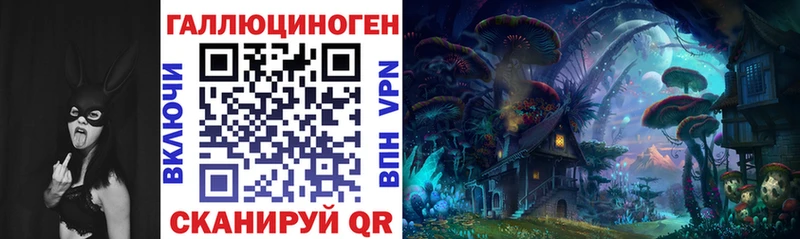 Купить где  Фёдоровский  Галлюциногенные грибы Psilocybine cubensis 